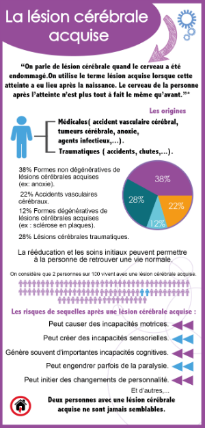 Infographie Lésion Cérébrale Acquise