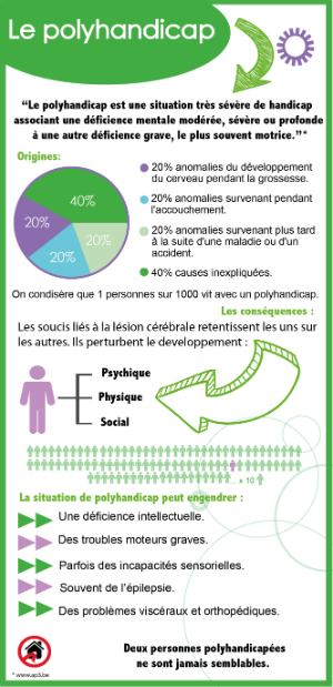 Infographie polyhandicap